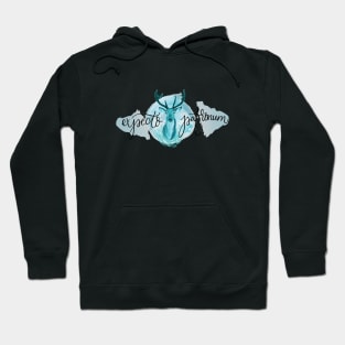 Blue Stag Spell Illustration Hoodie